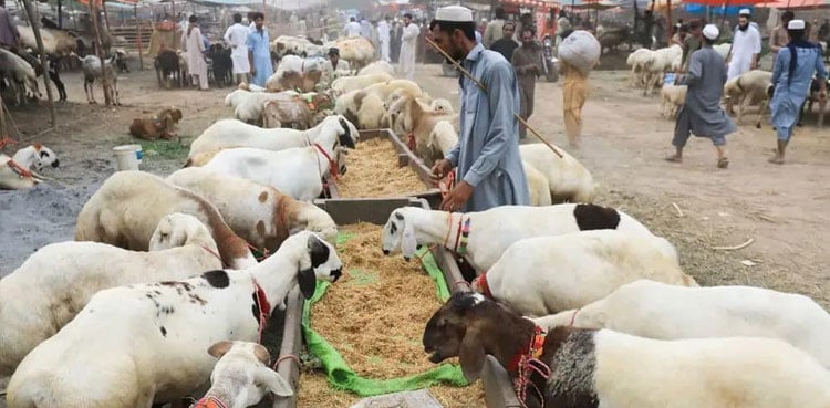 Trending News Image